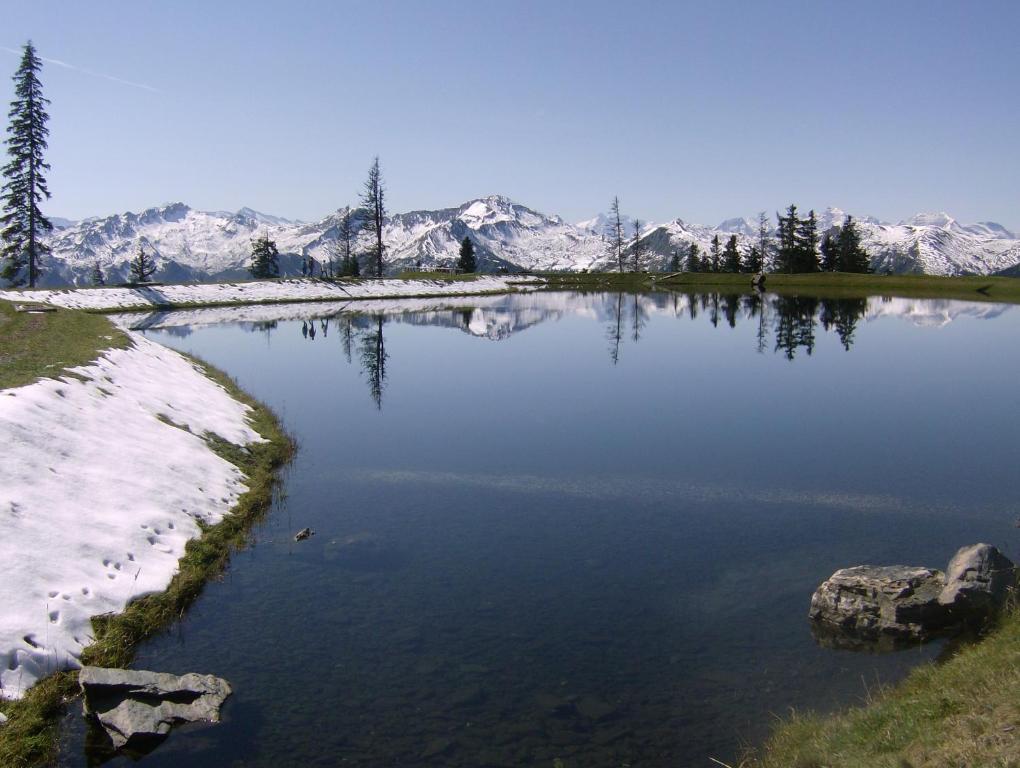 Gaestehaus Gratz - Inklusive Eintritt In Die Alpentherme Dorfgastein Bagian luar foto